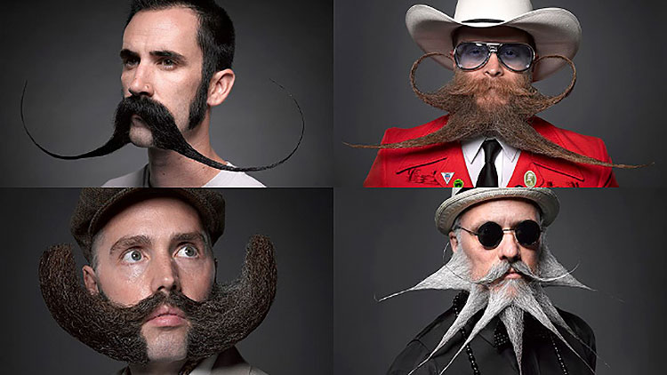 four men with crazy beards contest