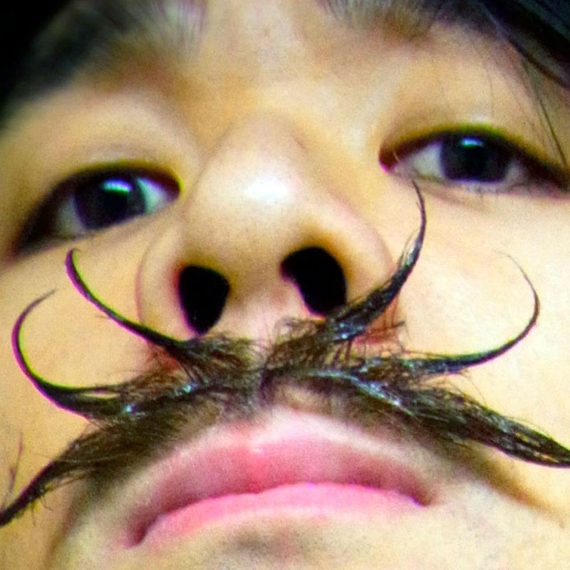 spider mustache closeup