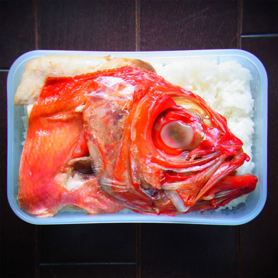 red beryx splendens head helmet bento art