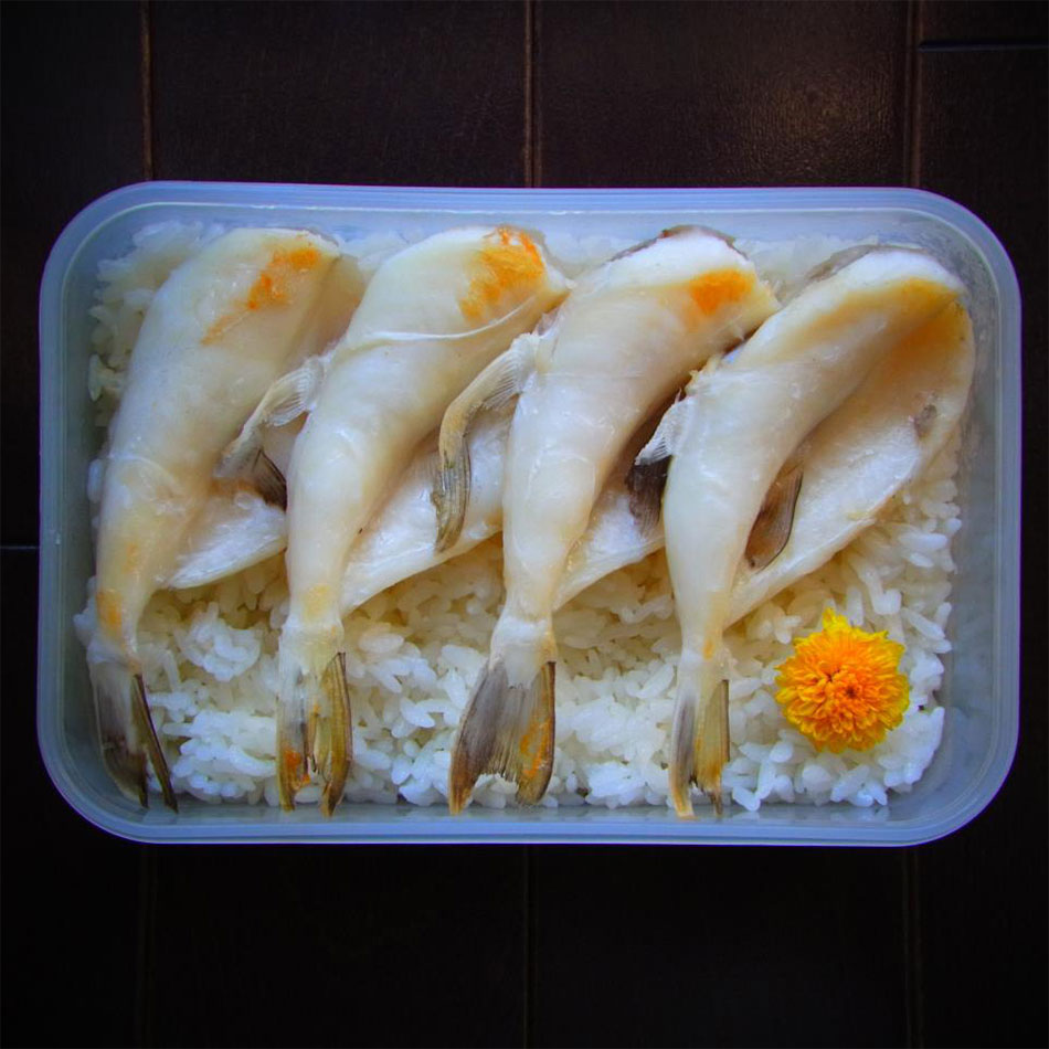 fugu fish and a flower bento art