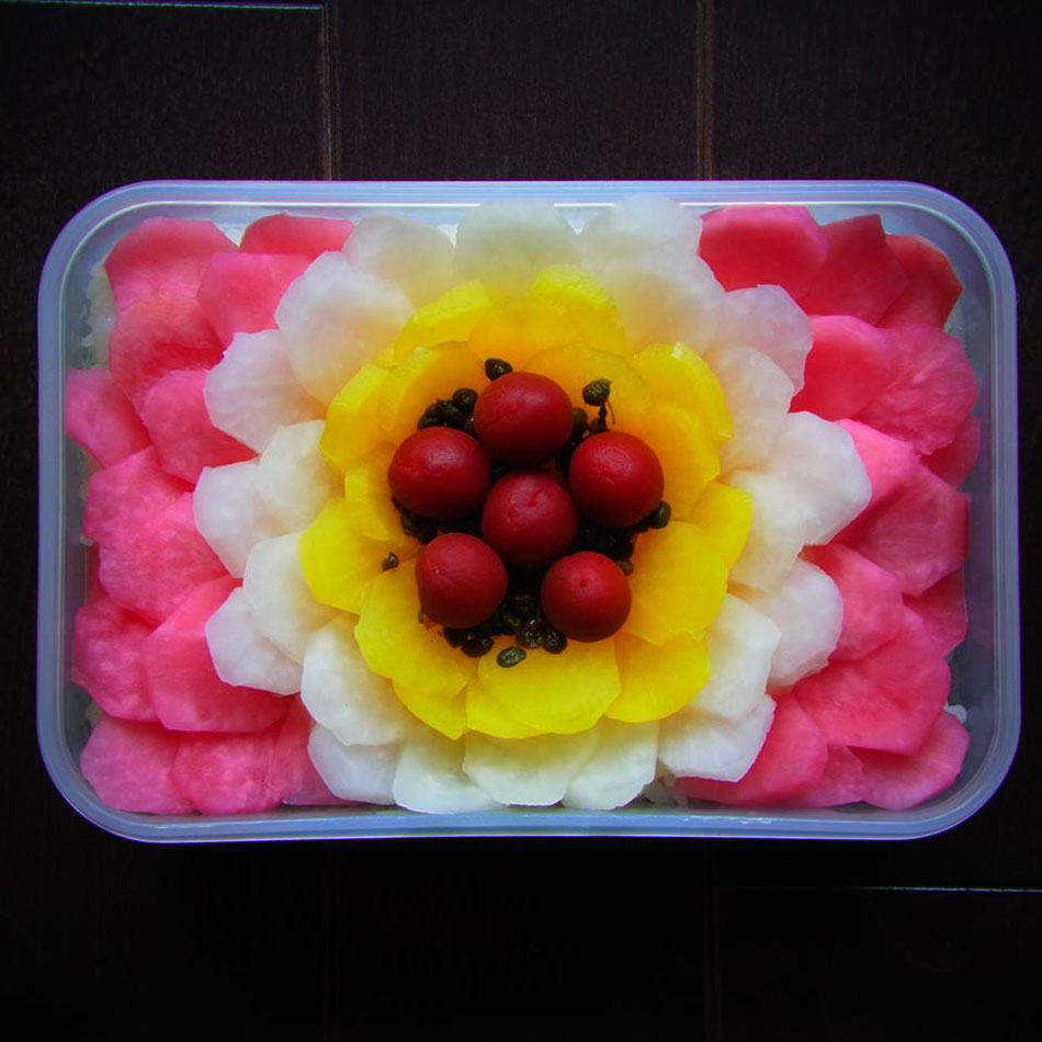 hanasaka flower bloom bento art