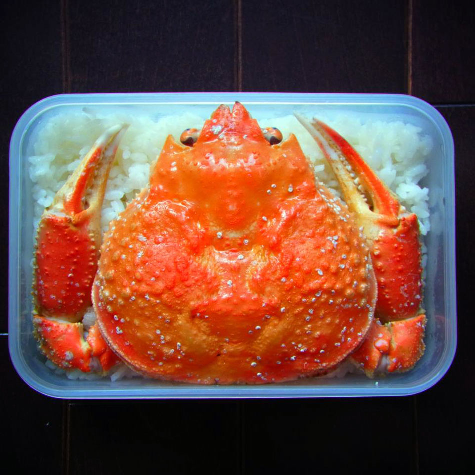 kani crab shell bento art