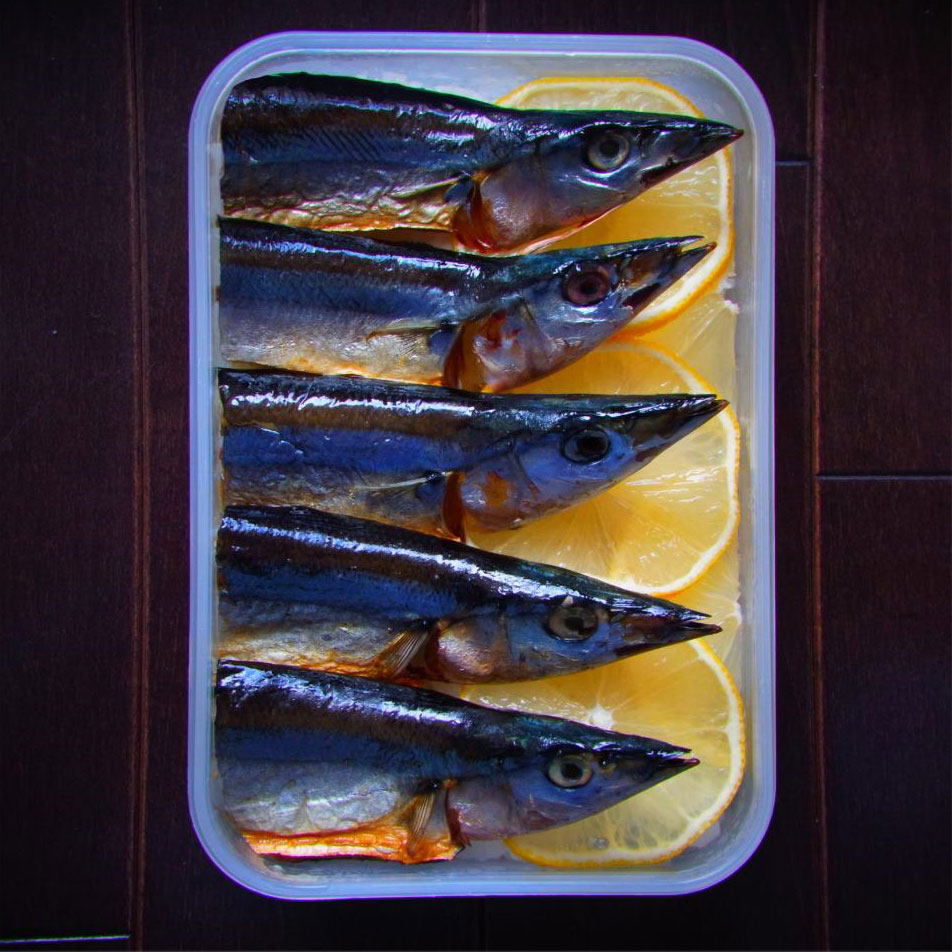 sardines sanma bento art