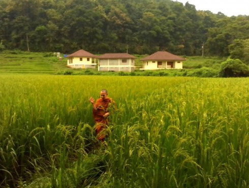 monk walking through a field