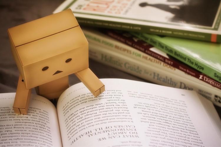 susanna fessler interview danbo reading a book