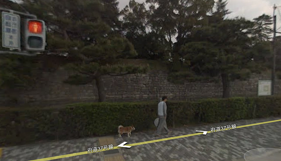 google earth man walking outside in kyoto