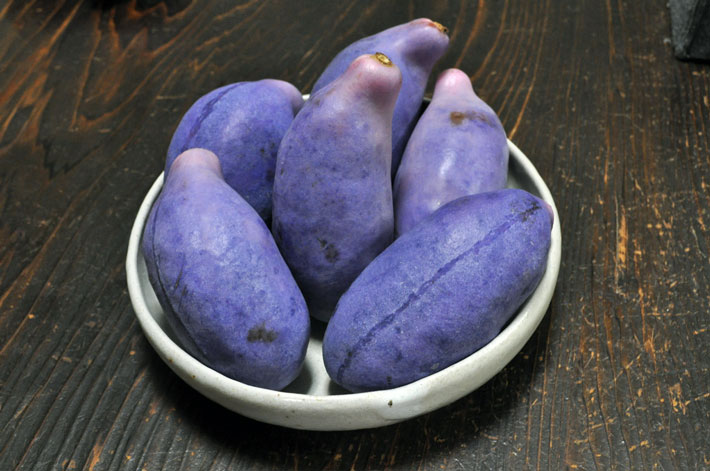 Bowl of akebi fruit