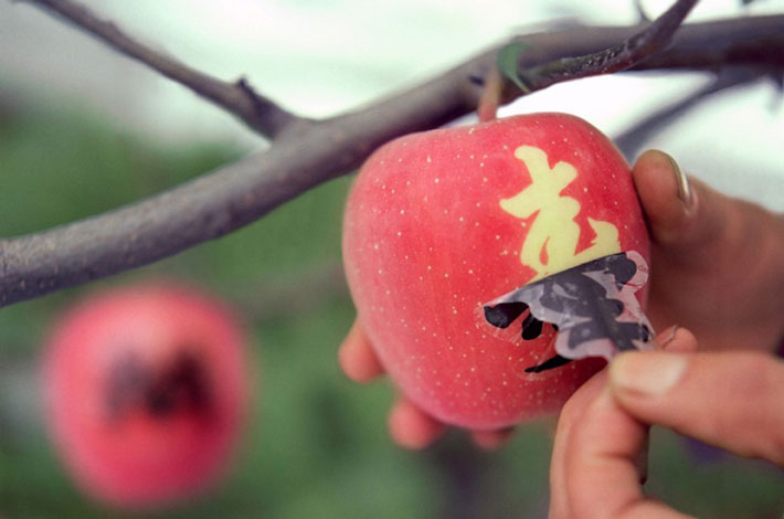 peeling kanji sticker off of an apple