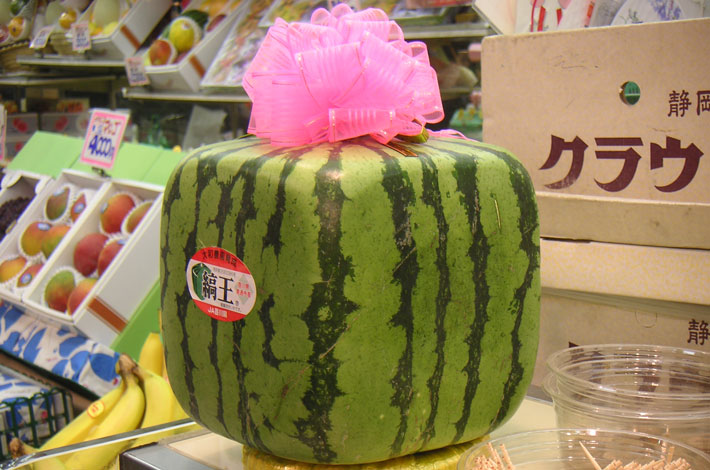 square watermelon with a pink bow