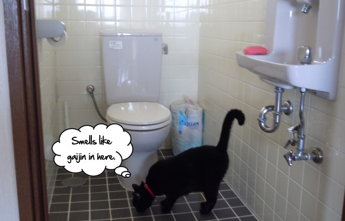 Cat in a bathroom saying, ’Smells like gaijin in here'