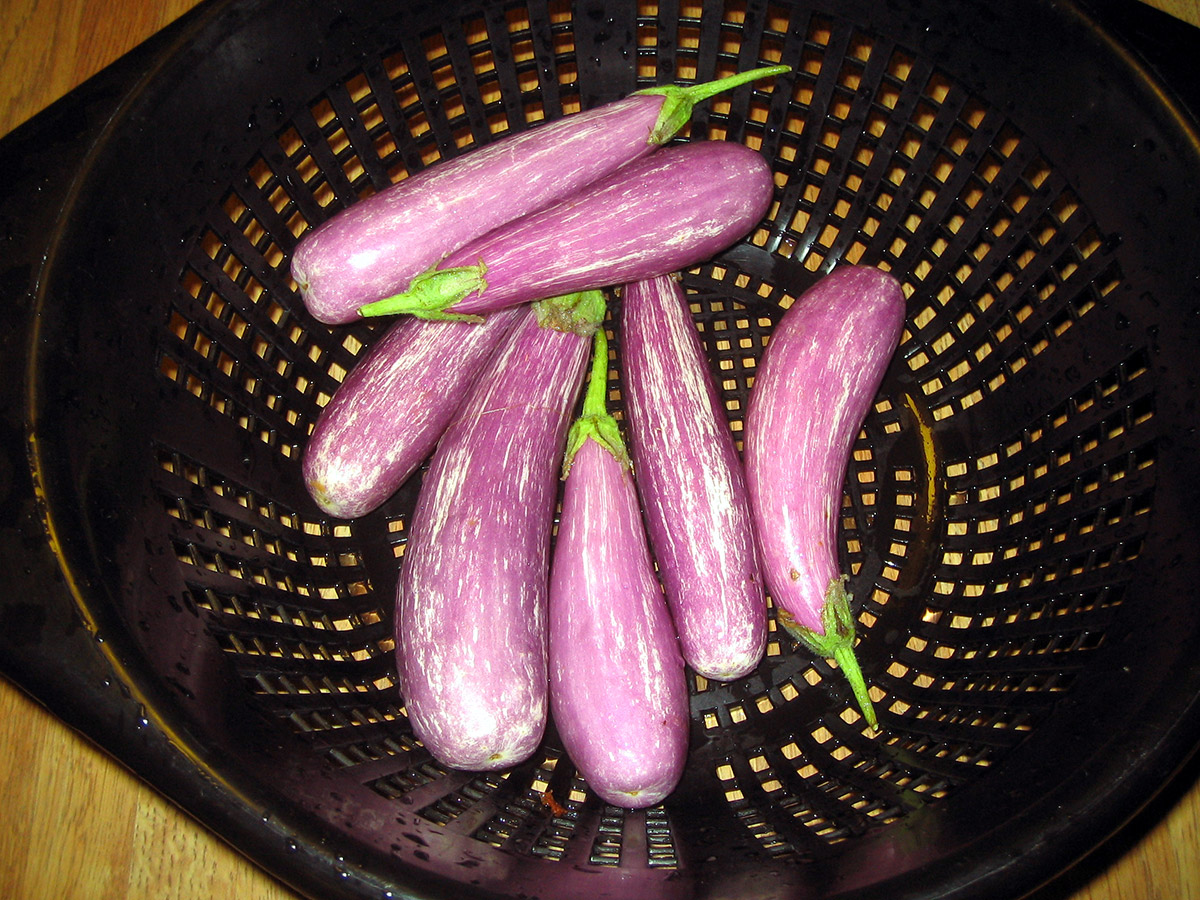 japanese eggplants in a strainer