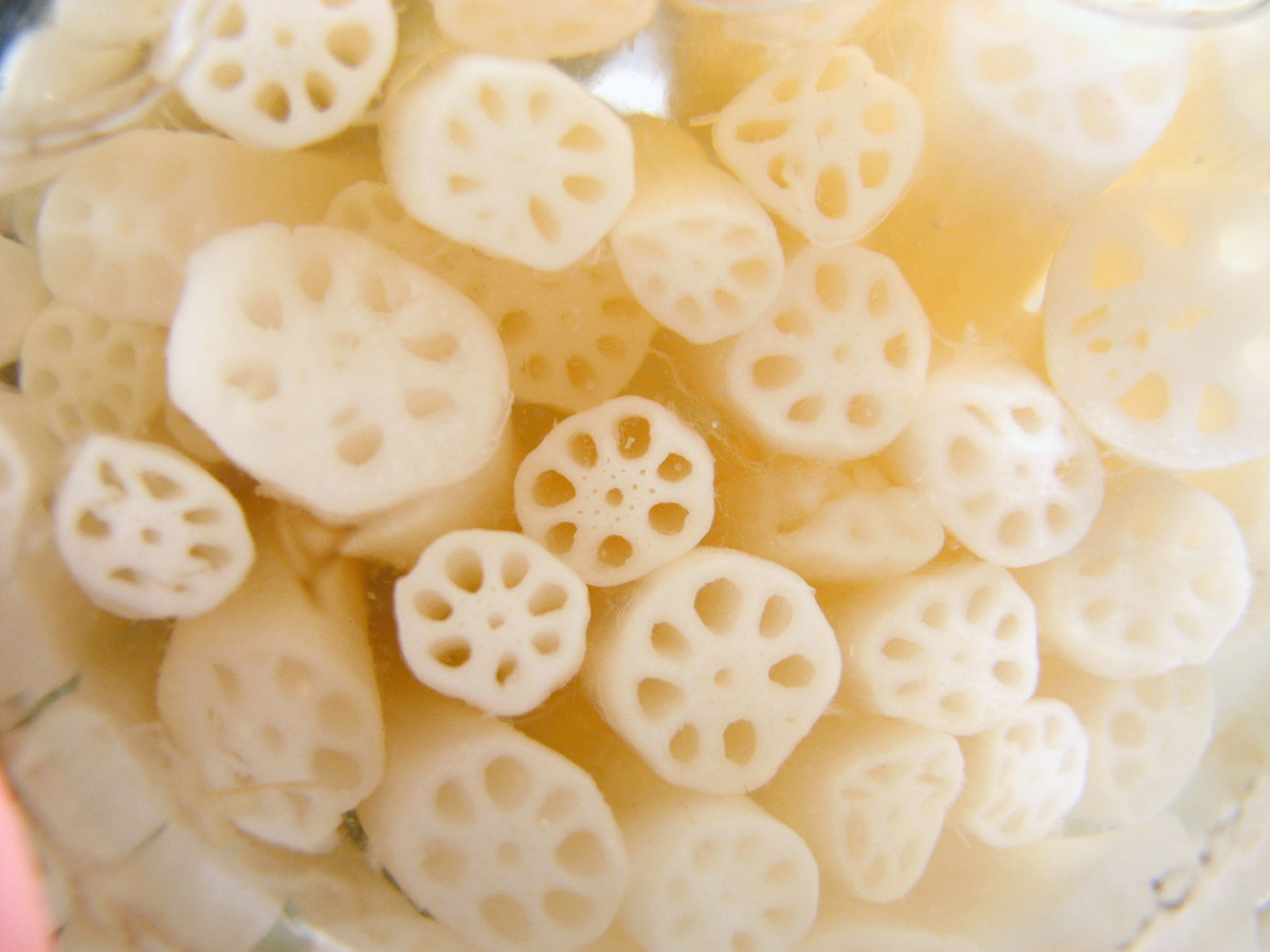 lotus root close up