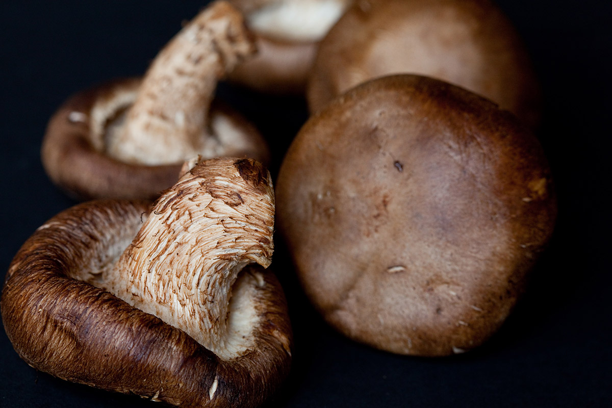 close up of shitake mushrooms