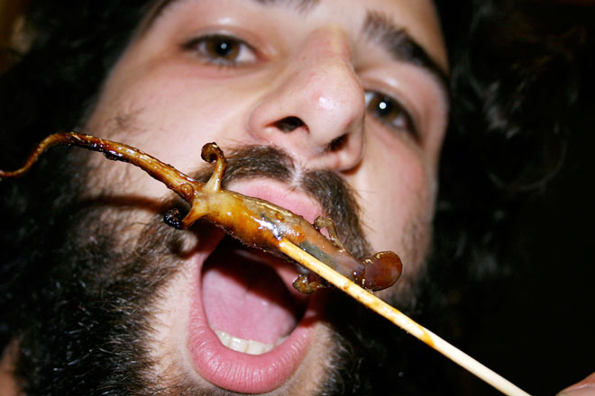 salamander on skewer stick in front of open mouthed foreigner in japan
