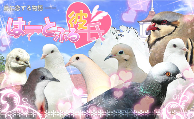 promotional art for pigeon dating sim game