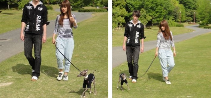 John walking the homestay family's Italian Greyhound