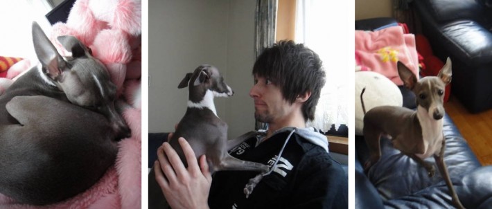 John with his homestay family's Italian Greyhound