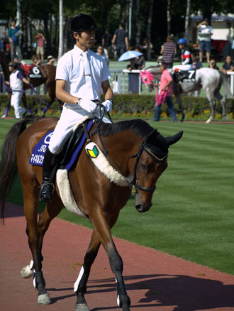 A man riding a horse with a wakaba mark