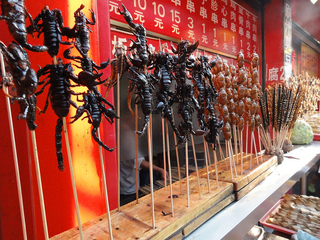 Japanese Insects so Horrifying You Will Never Visit Japan Again