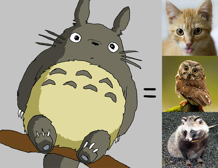 desglose de la biología del gato totoro búho tanuki