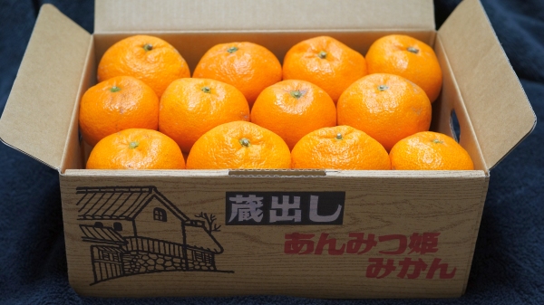 box of japanese oranges omiyage souvenirs