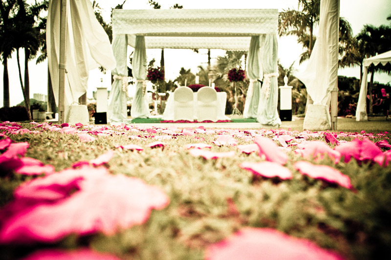 Flower petals at a wedding ceremony