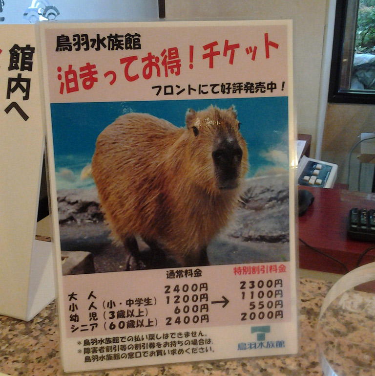 capybara ad in japan