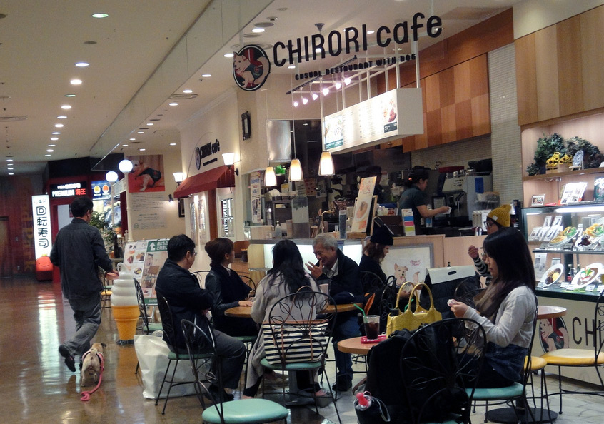 patrons sitting at chirori dog cafe