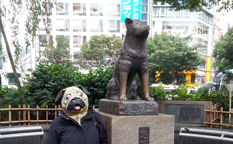 statue of dog and toy of pug