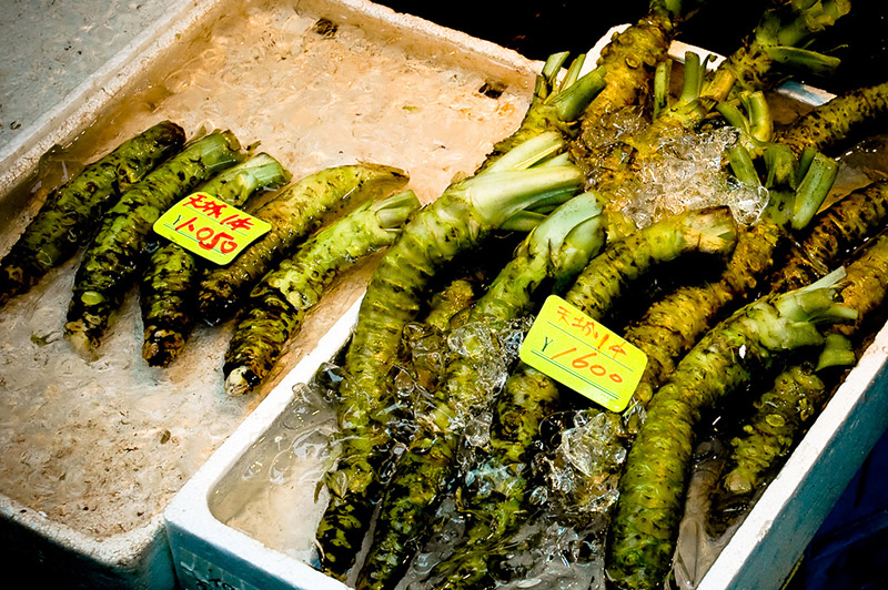 fresh wasabi at the market