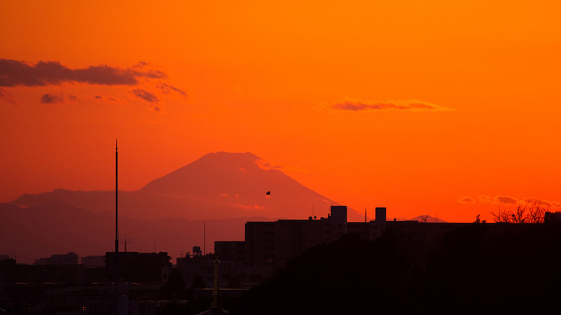 sunset in the city