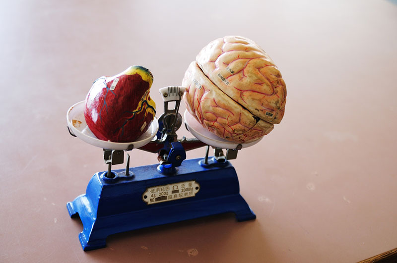 childrens toy with a heart and a brain balanced