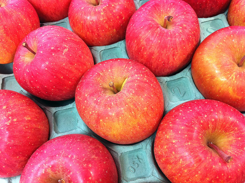 Fuji apples from Aomori-ken