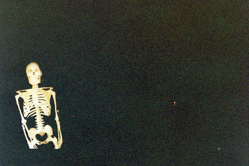 Skeleton light up brightly against a dark, noisy background