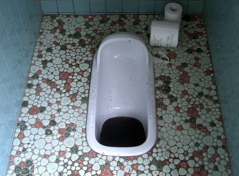 Japanese style toilet