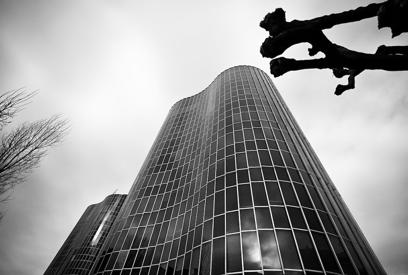 A skyscraper housing a Japanese Black Company