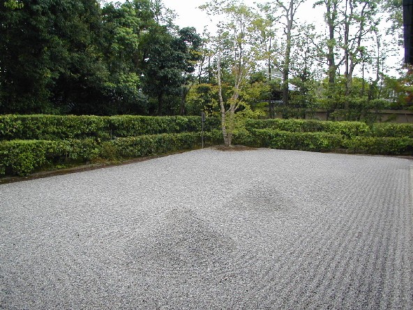 rock garden with just grooved sand