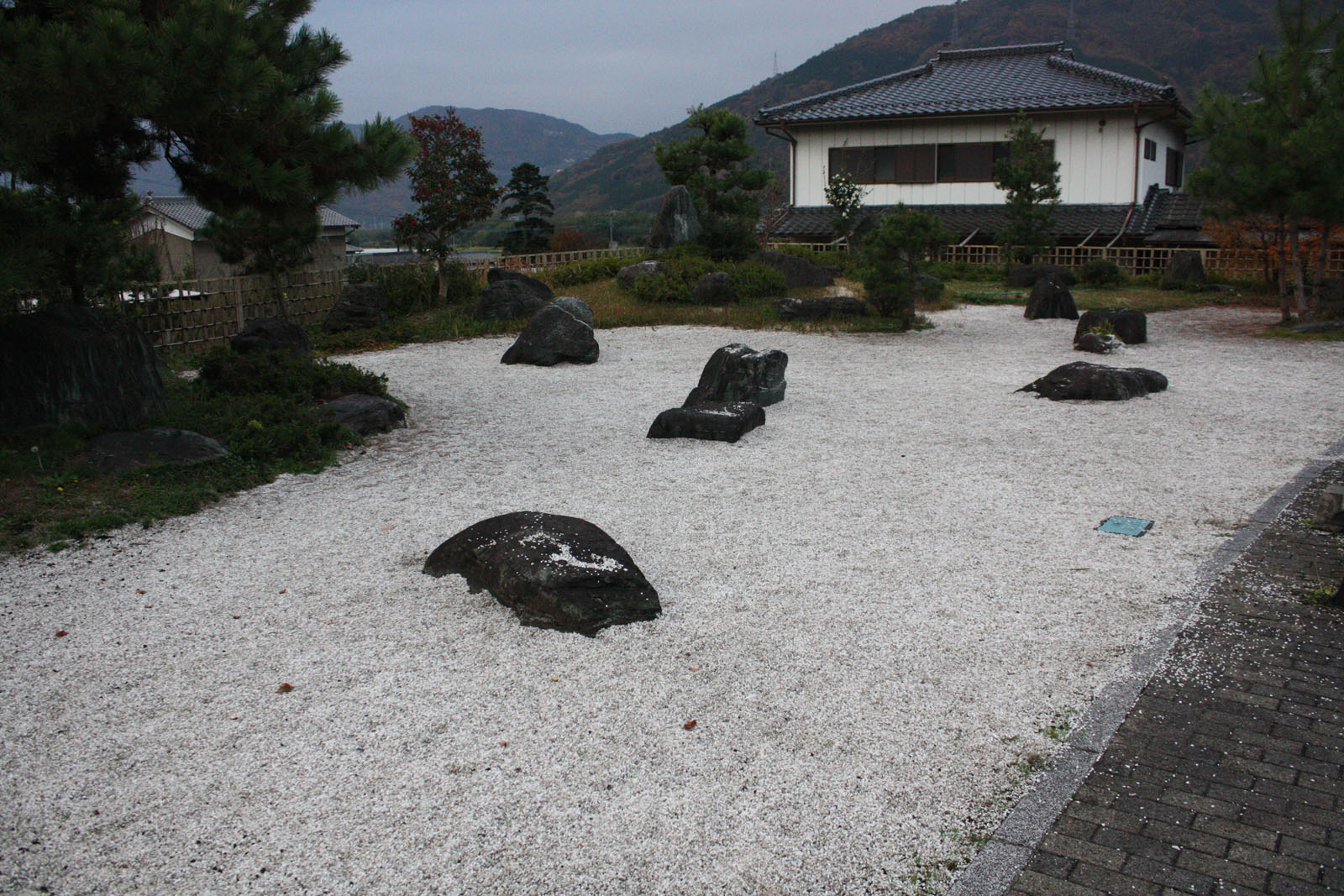 Forget Pet Rocks Cultivate Your Own Rock Garden