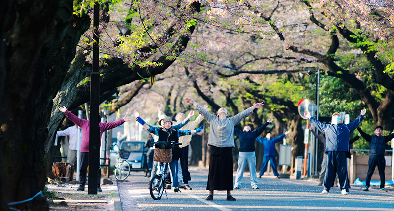 people stretching in a park radio taiso