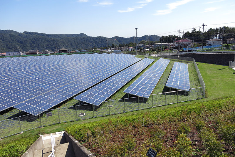 Solar panels in a field