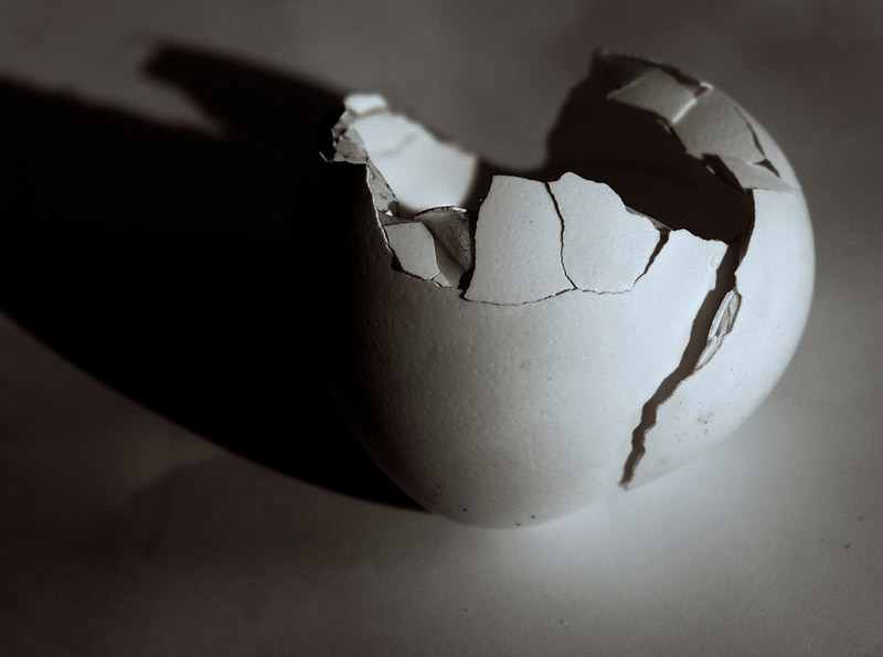 black and white broken eggshell