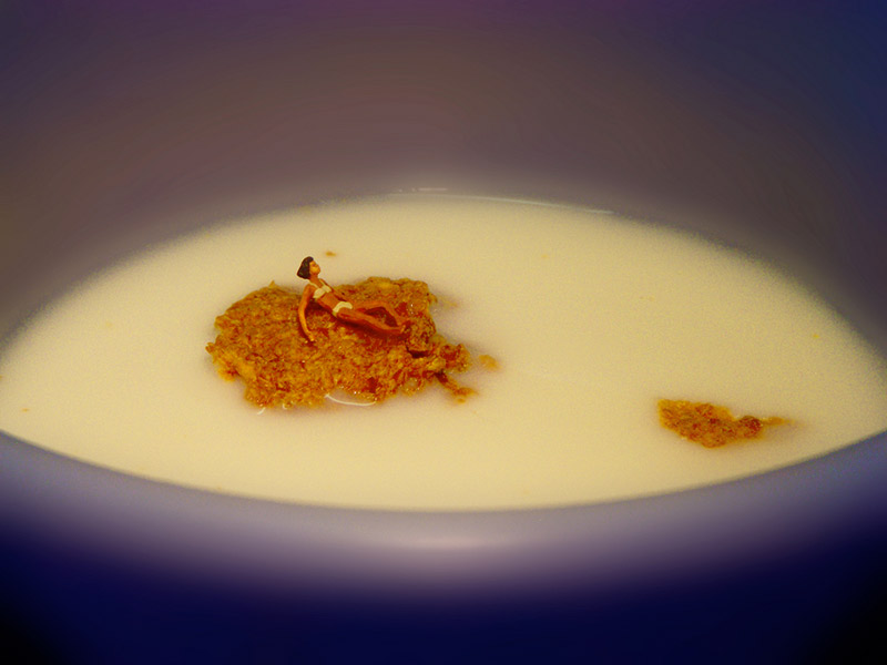 woman on a cornflake in a cereal bowl