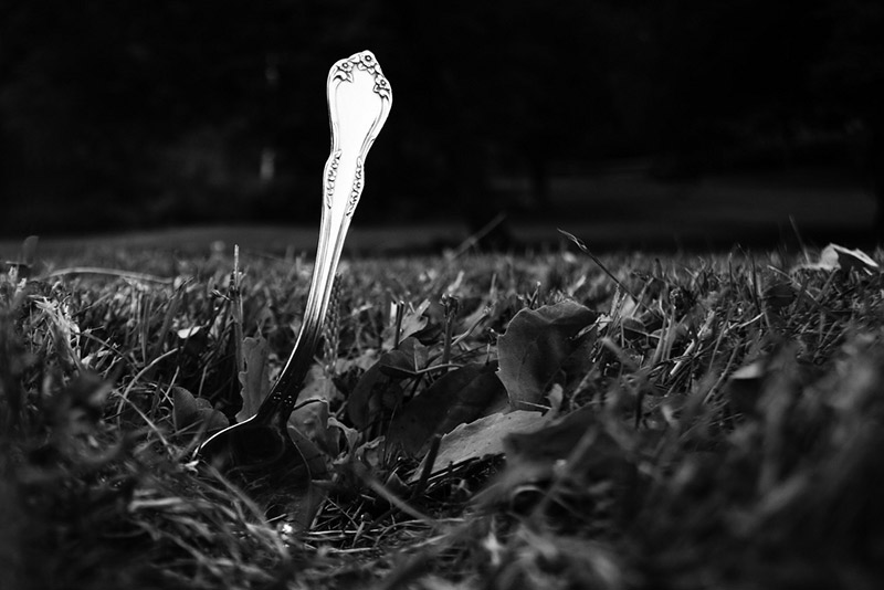 a spoon in the grass