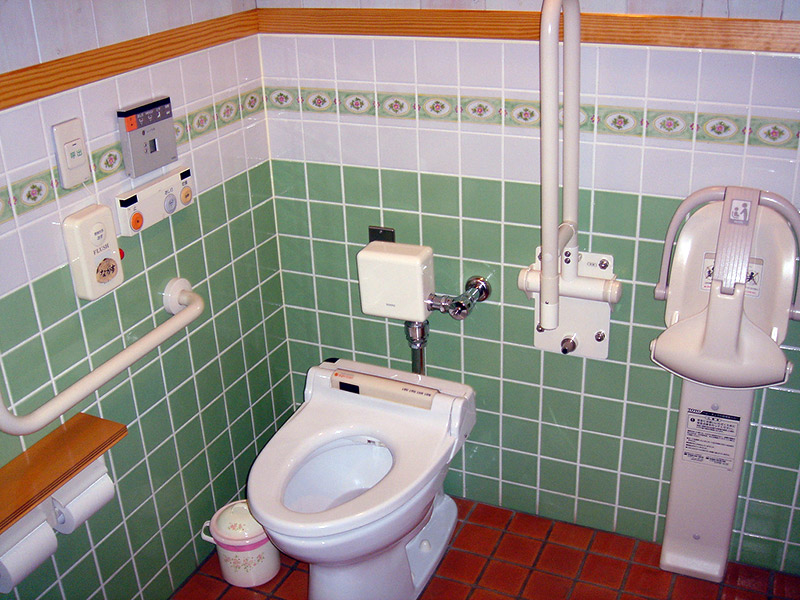 handicap accessible toilet and bathroom