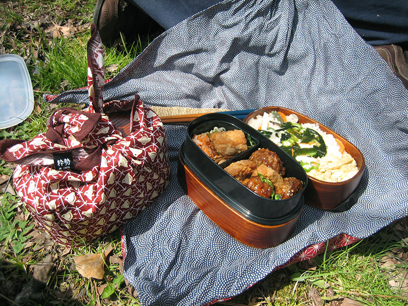 bento boxes for picnic