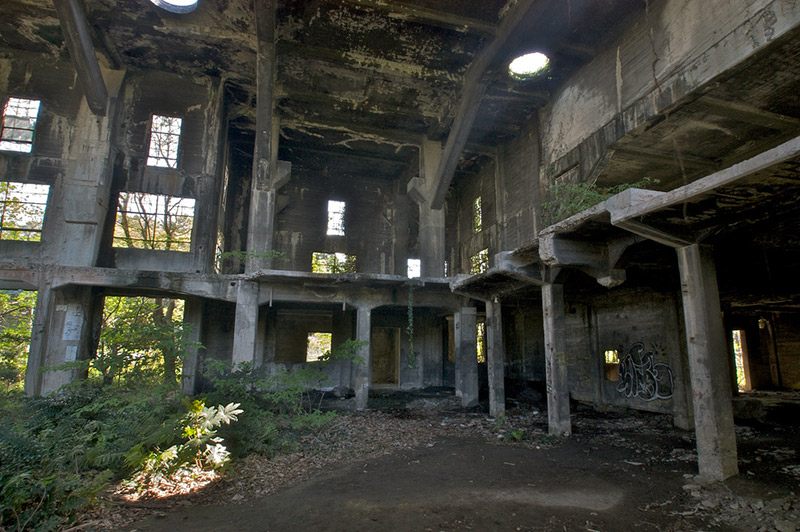 An old overgrown dock building in Japan