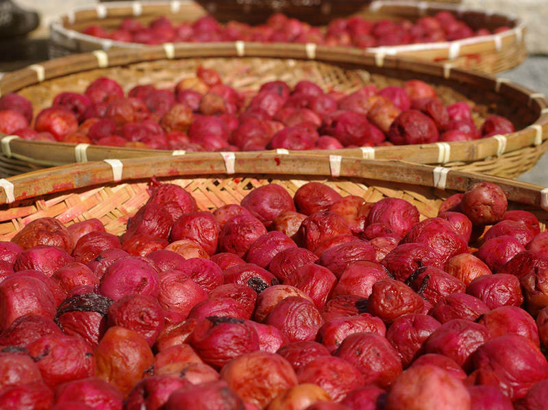 umeboshi pickled red plums drying in the sun