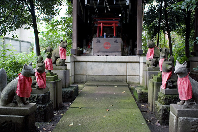 lines of kitsune statues at inari shrine