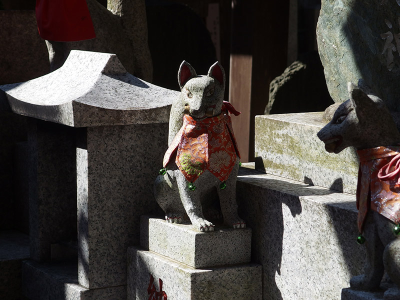 fox statues at a shrine in japan