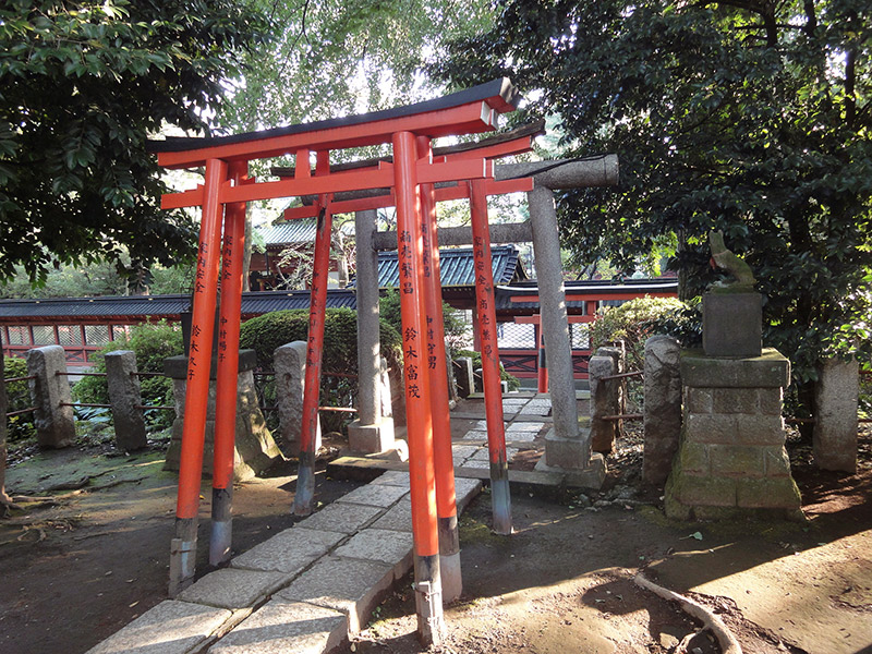 red torii gates at an inari shrine